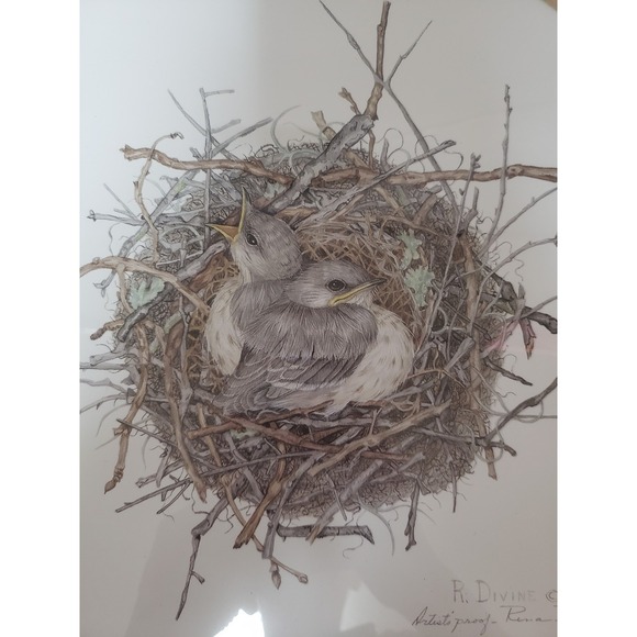 Framed Print, R. Divine - Picture 2 of 5